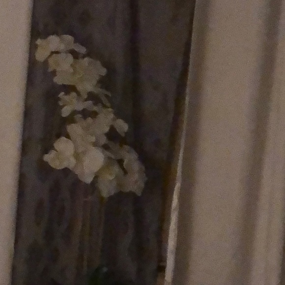 Meet your Posher, Roxanne - Picture 1 of 1